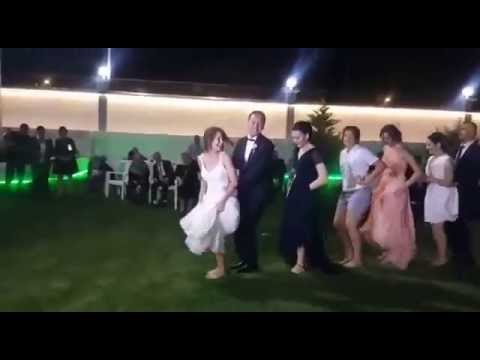 Park Karabiber Gelin Damat Penguen Dansı