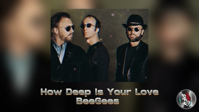 CapCut_how deep is your love remix tradução