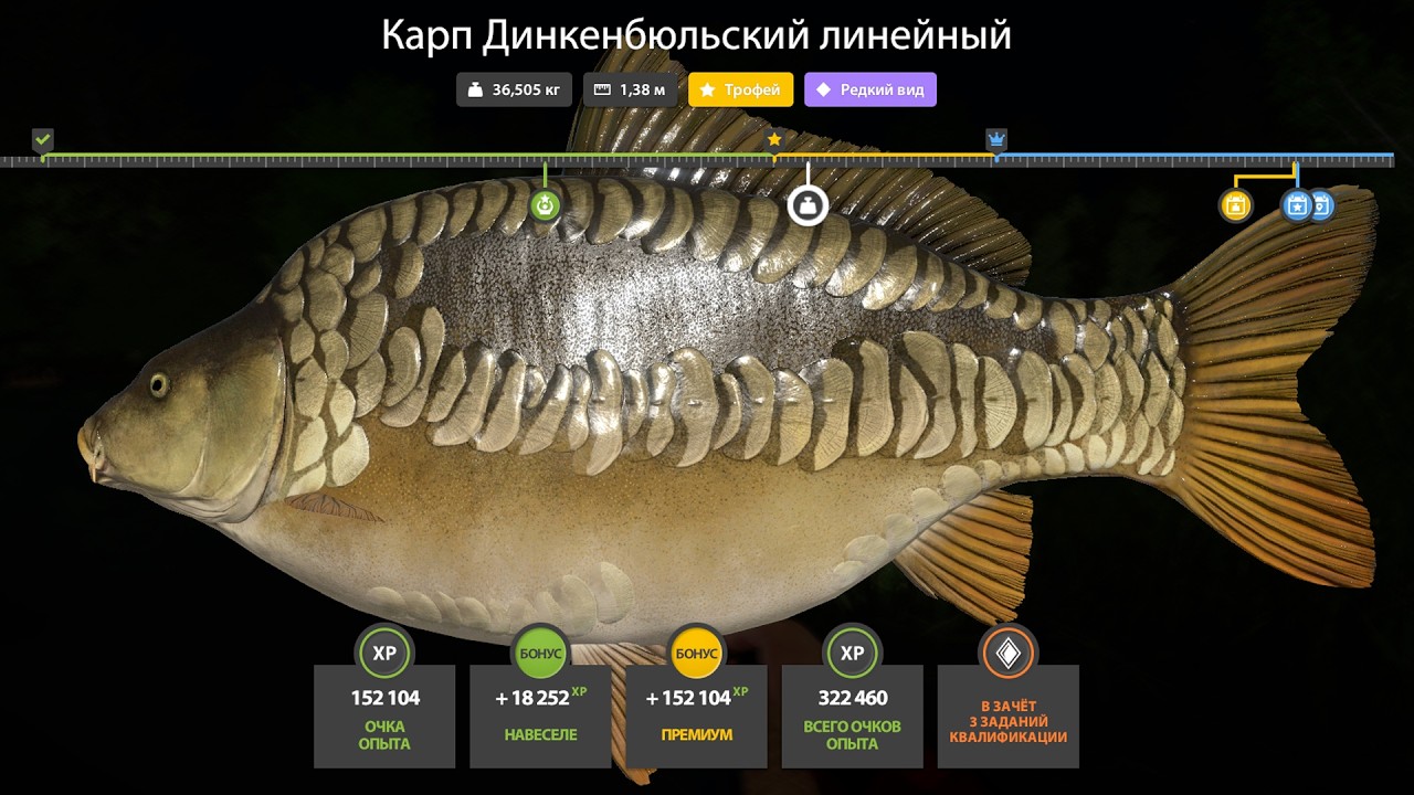 📢СТРИМ РР4🔥ВЕЧЕРНИМ ВЕЧЕРОМ ЗАГЛЯНЕМ НА МЕДНОЕ И СПЛАВИМСЯ ПО СУРЕ🔥РУССКАЯ РЫБАЛКА 4