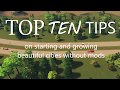 HOW TO START + GROW BEAUTIFUL CITIES IN CITIES SKYLINES (NO MODS!) IN UNDER 10 MINUTES