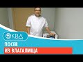 👩 Посев из влагалища. Клинический случай №331