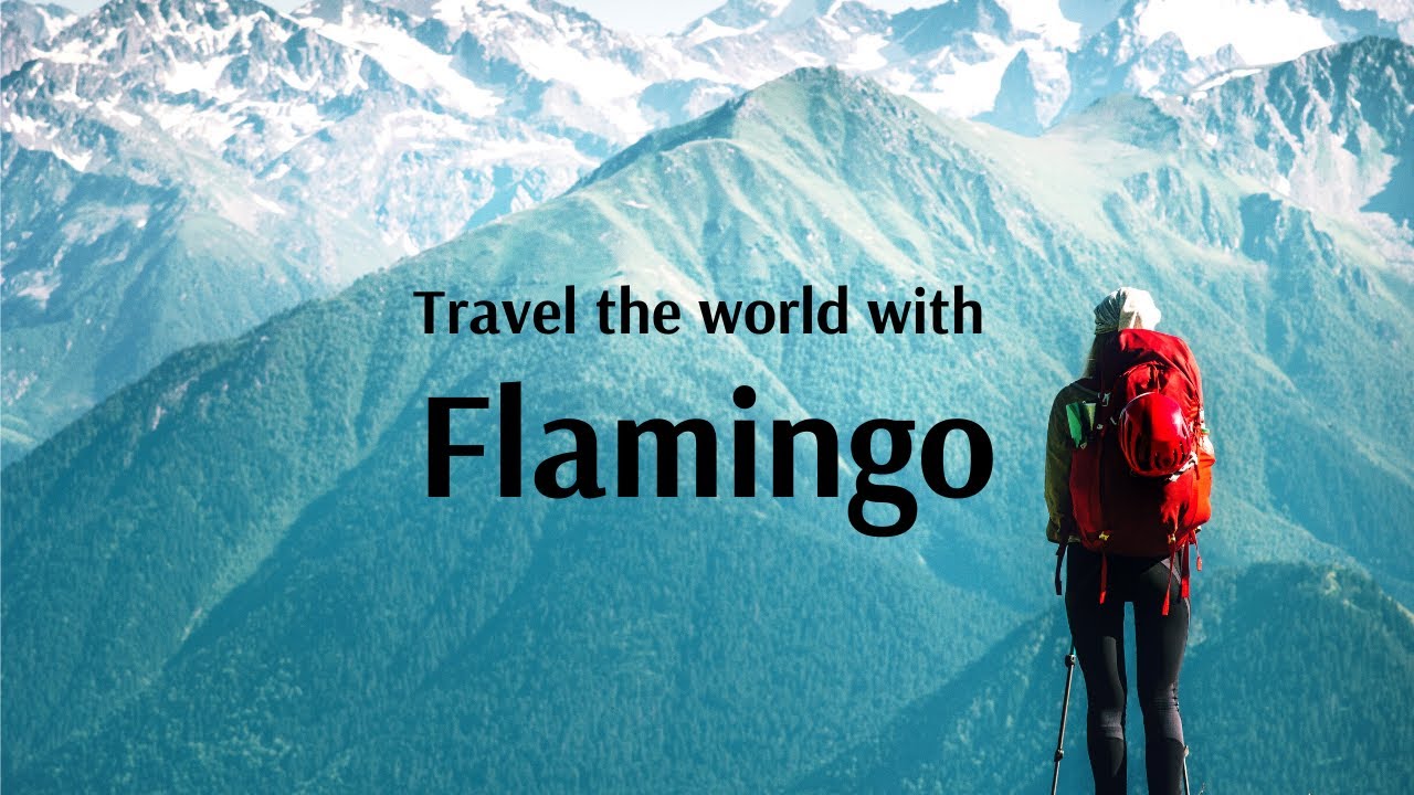 flamingo travel reviews