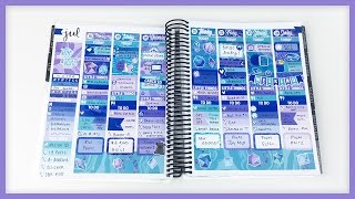 Plan With Me // Gorgeous Color Combo! [RW] (Erin Condren - Vertical)