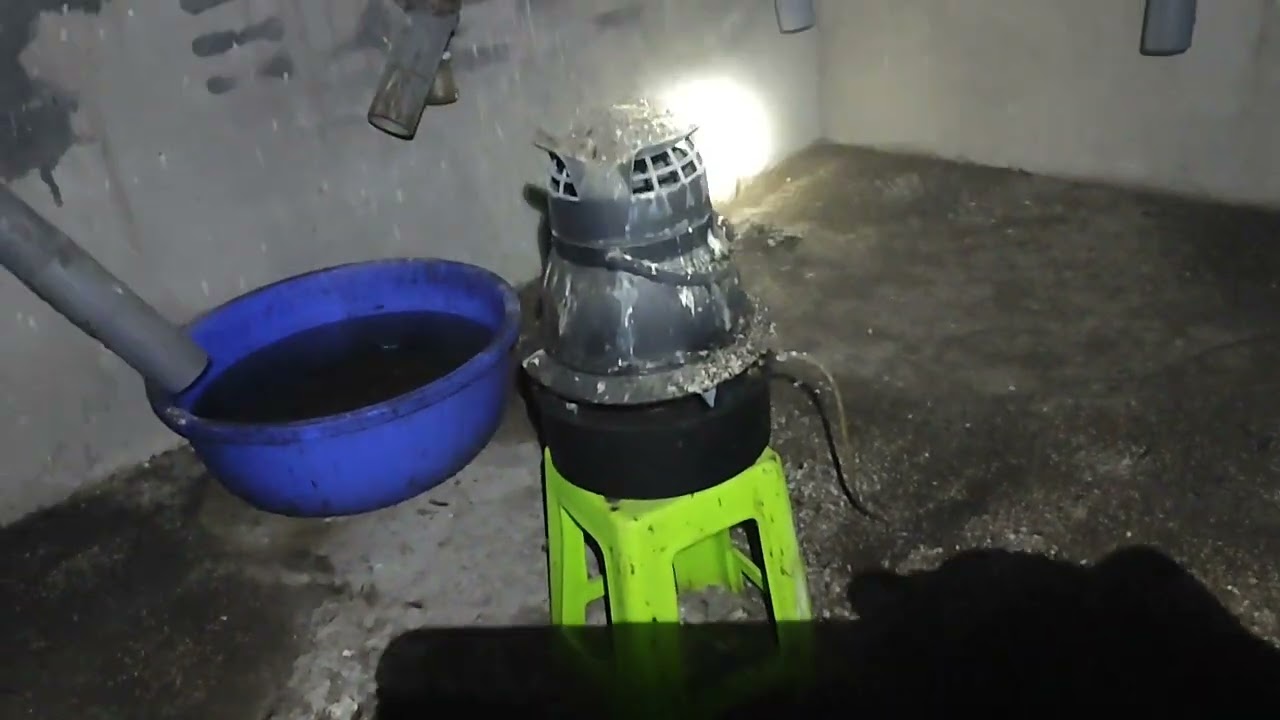 cách sử lý phân yến giữ ấm cho nhà Yến mùa khô (0977576499)