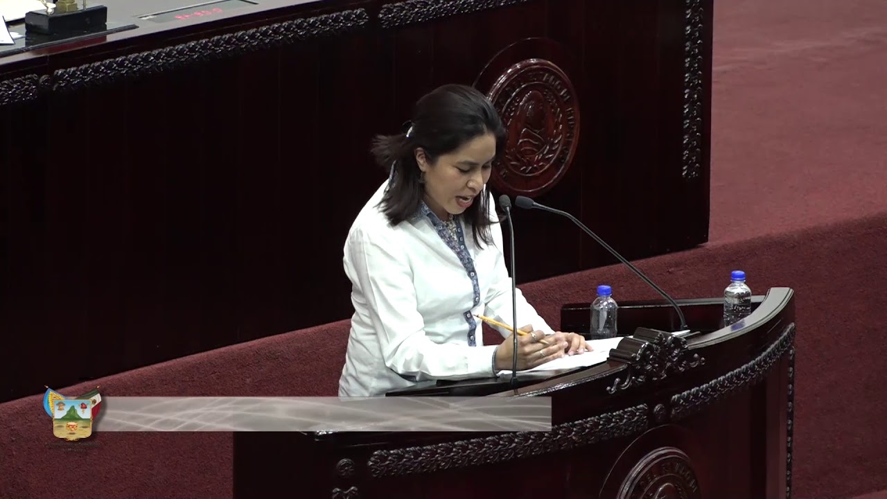 El legislador de Morena, Efrén Salazar Pérez, subió con el asunto “Seguridad Ciudadana” camera iphone 8 plus apk