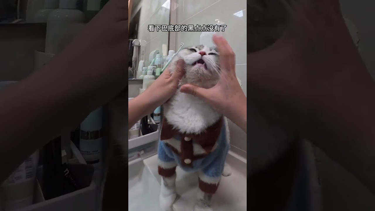 Here comes the super detailed body brush