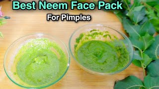 Neem Face Pack: Neem Face Pack For Acne & Pimples|| Neem Face Pack At Home|| Diy Neem Face Pack