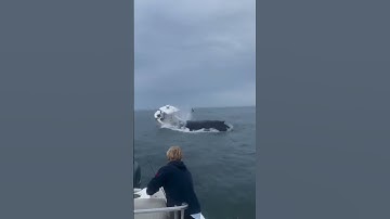 Adam rose Reactions part 04 #adamrose #compilation #engineering