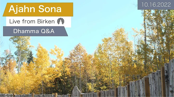 Live from Birken: Dhamma Q&A with Ajahn Sona (10.1...