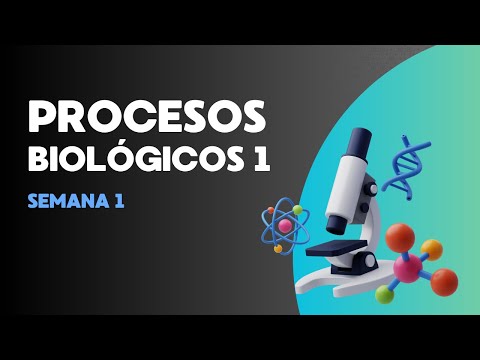 Gestión por Procesos