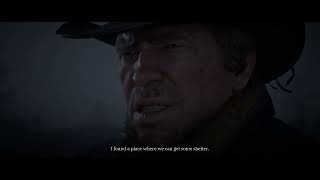Red Dead Redemption 2 Chaos Mod Soft Lock (Part 1 Coming Soon) screenshot 4