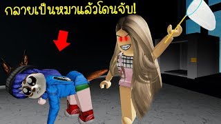 Ava Game Brasil Vlip Lv - กลายร างเป น lucky guy หน มผ มาก บดวง ใน identity v roblox be