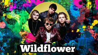 1 HOUR - Wildflower [5 Seconds of Summer]