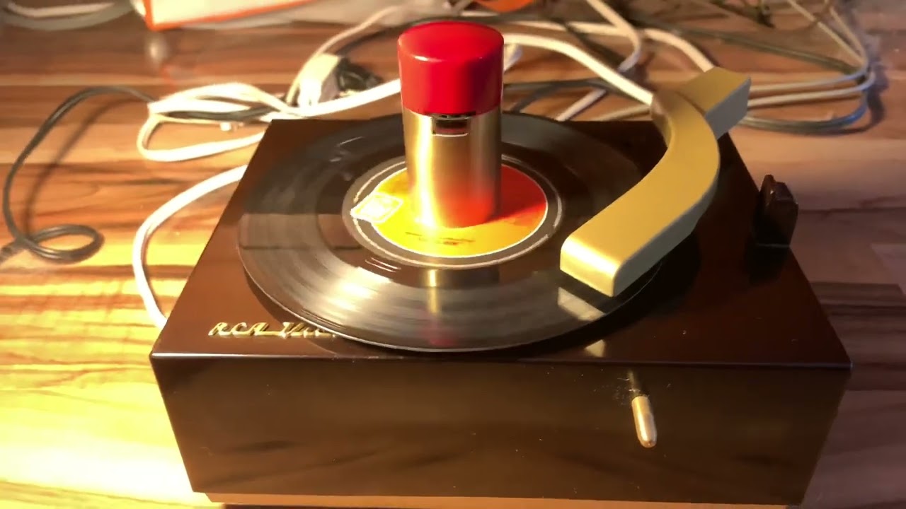 Bryan Adams. Run to you. Featuring my dog Snow