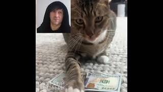 Cat Found $100 💵