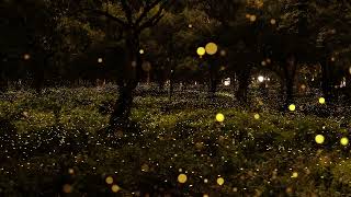 432 Hz Muzyka relaksacyjna strojona do 432 Hz + Uzdrawiające częstotliwości + Nauka + Koncentracja screenshot 3