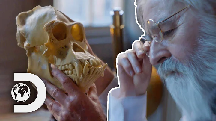 The Scientist Who Tried To Create A Human-Chimpanzee Hybrid | Almost Human: Rise Of The Apes