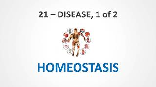 Homeostasis