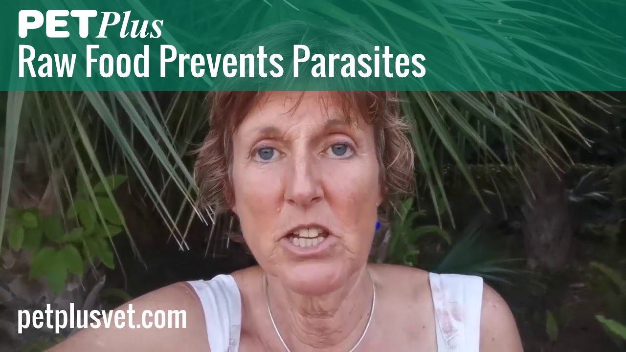 Raw Food Advantages - It Prevents Parasites - YouTube