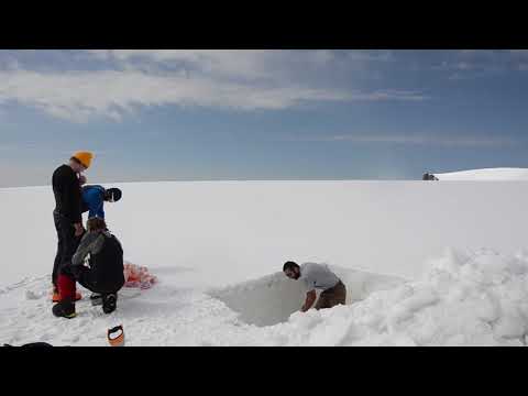 ლევან ტიელიძე - განათლების საერთაშორისო ცენტრის სტიპენდიატი