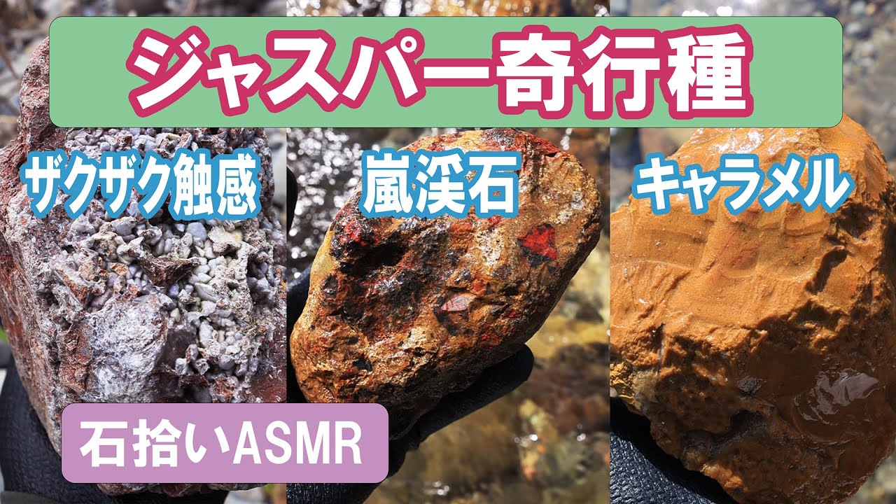 【石拾い】ジャスパー奇行種