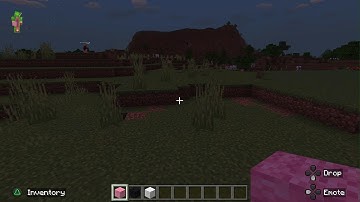 Minecraft pixel art how to build a pig face