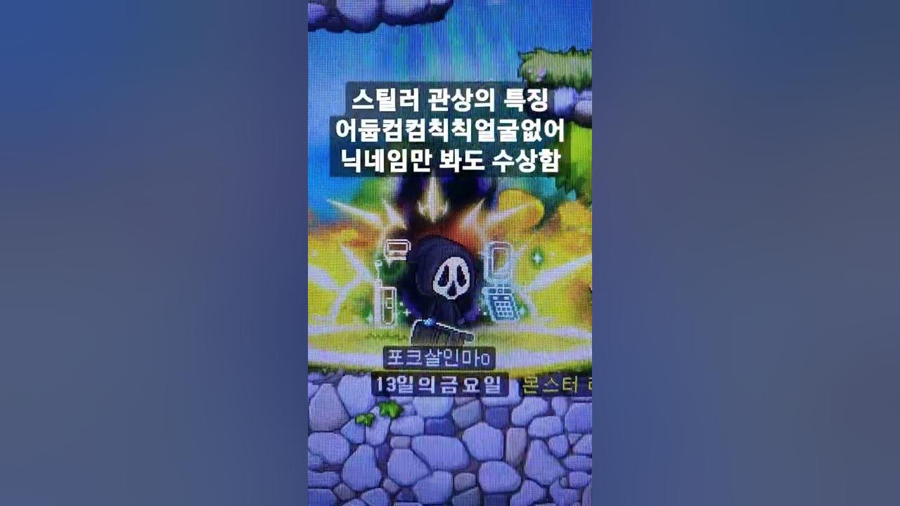 메이플 스틸러 컨셉코디 