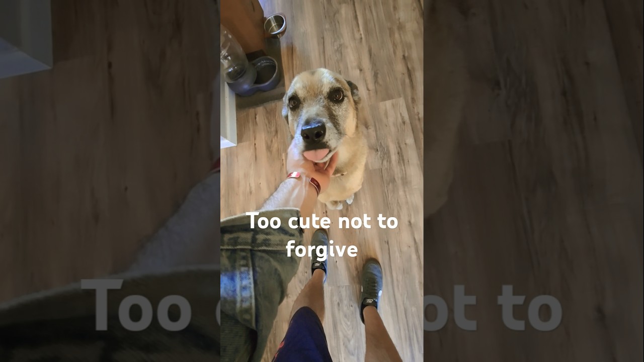 Naughty Dog Caught In The Act! 