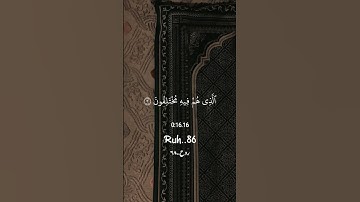 سورة النبأ 🍁 بصوت القارئ عبدالرحمن مسعد🎙️🤍