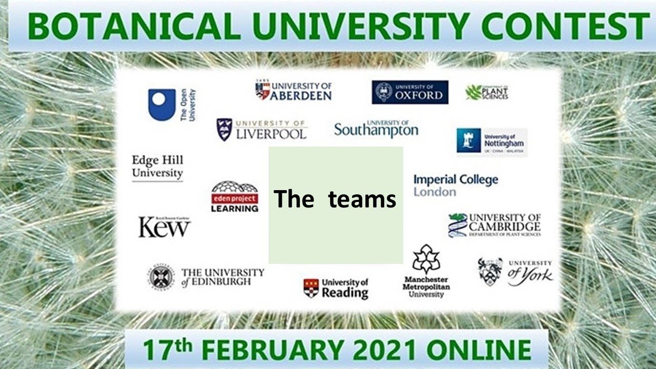 The teams in Botanical University Contest 2021