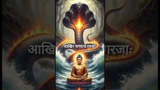       Snek King U0026 Buddha Story inspiring motivation buddhastory buddhagyan