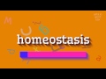 How to say "homeostasis"! (High Quality Voices)