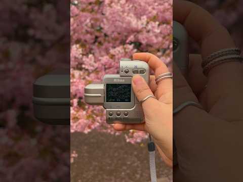 the nikon coolpix