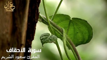 سورة الاحقاف - المقرئ الشيخ سعود الشريم - Saoud Al Sharim- Al-Ahqaf