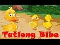 Tatlong Bibe | Awiting Pambata Tagalog