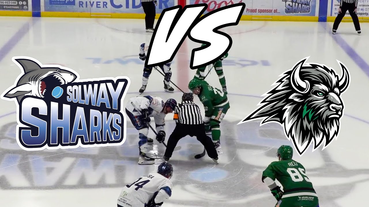 Sharks v Bison 11 01 26 Highlights