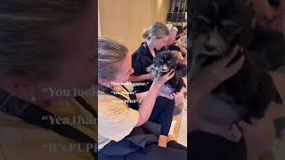 The Ultimate Feel-Good Experience 🐶🎨 | Painting With Puppies