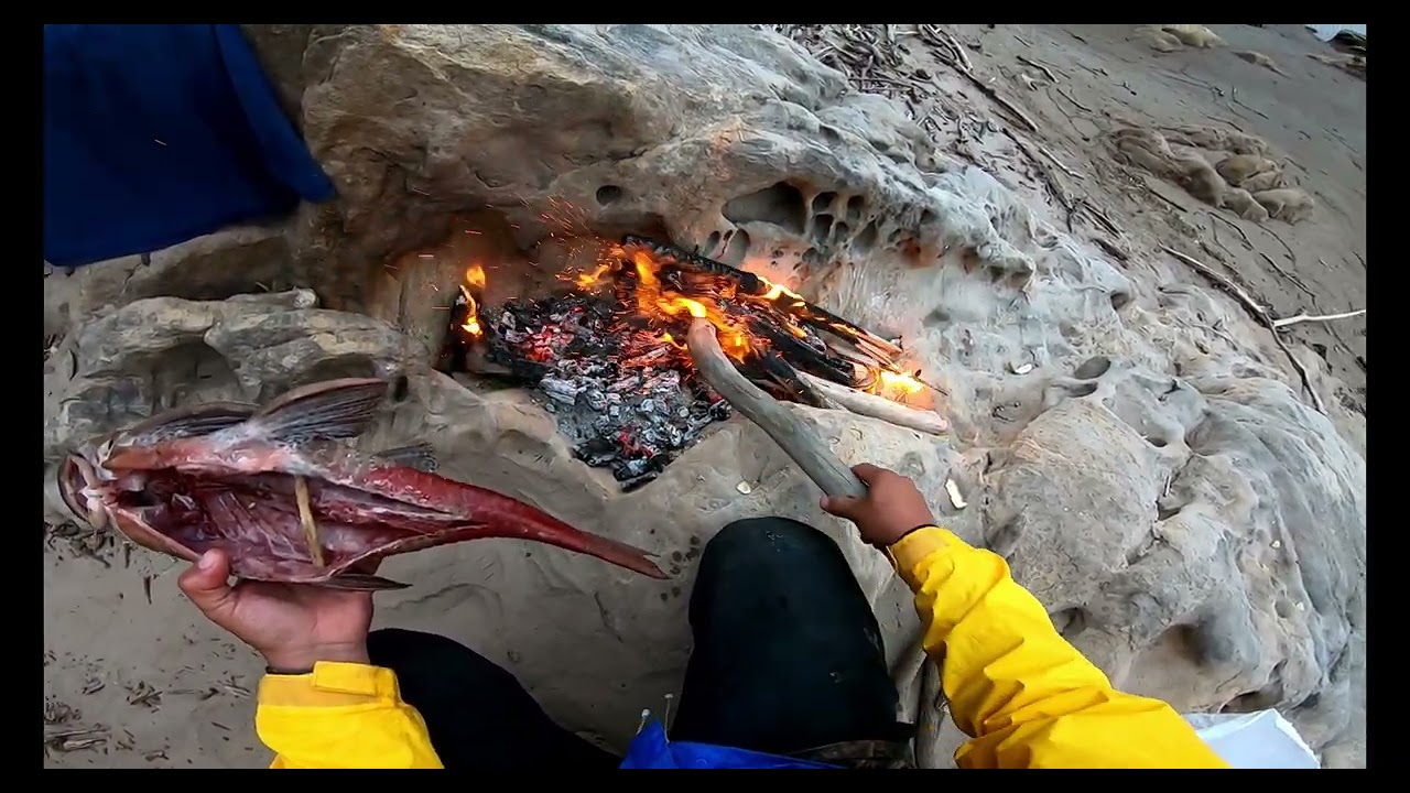 Pesca De Sábalos Rio Pilcomayo