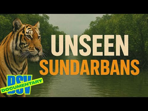 BSV- Unseen Sundarban 4K Documentary 2025 ll Sundarban Jungle Safari ll English ll @BSV025