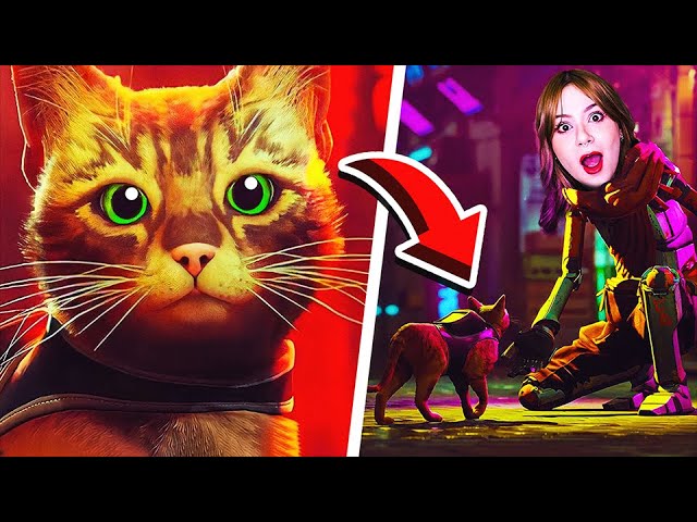 VÍDEO DE GATO DO JOGO DE GATO! Esse é o jogo mais fofo do mundo