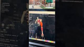 IMG 9591