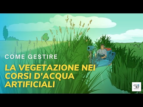 Video: In che modo la vegetazione può ridurre le inondazioni?