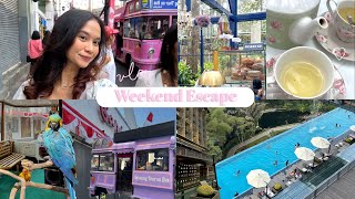 A Day in My Life: Go to Bandung Edition part 1 (Orchid Forest, Braga, Gaia Hotel, Golden Pine)