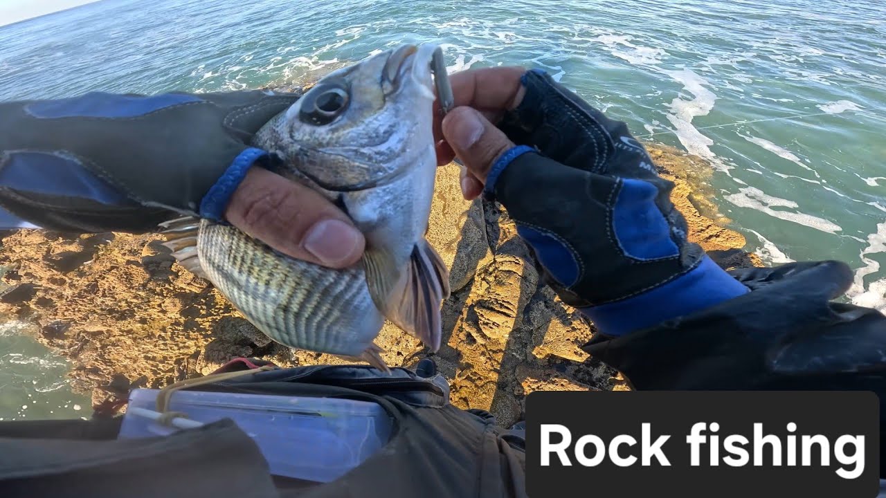 Как поймать наибольшее количество груперов, используя технику ловли с берега 🎣 🌊 Поймал — отпустил