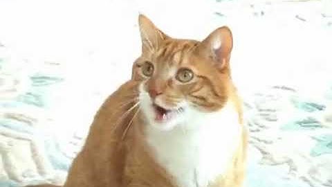 Shortest Video on Youtube Part 7