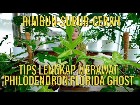 Video: Apakah florida berarti bunga?