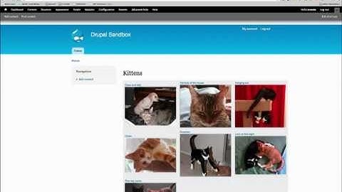 Drupal 7 Advanced Views Tip: Contextual Filters