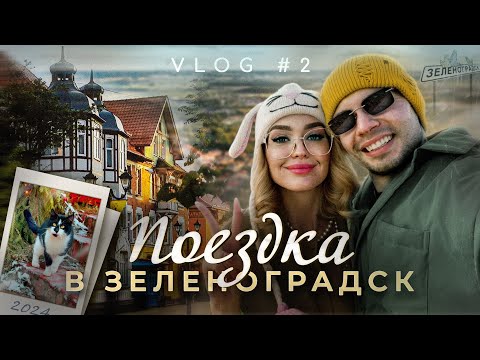 Поездка в Зеленоградск - город кошек // Масленица // Вкусные места Калининградской области