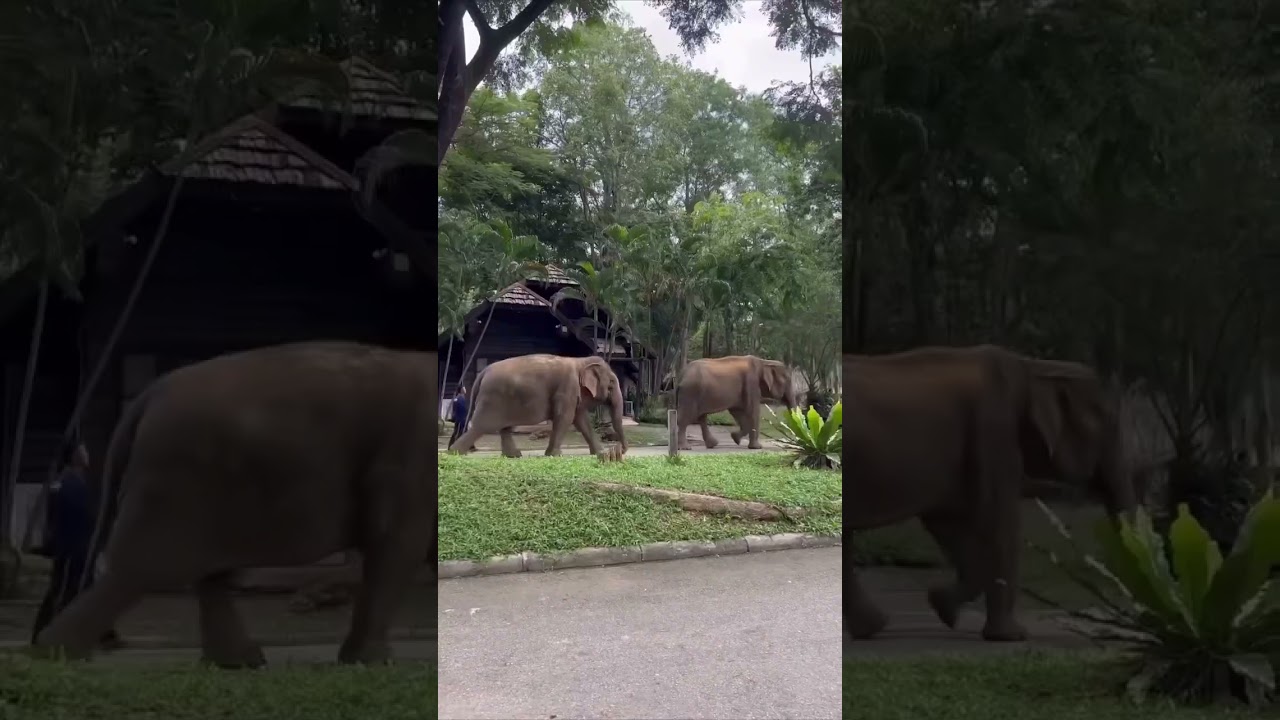 Work exchanges for the win!! 🤩 