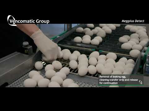 Vencomatic Group: Meggsius